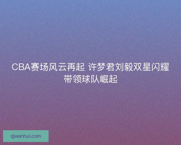 CBA赛场风云再起 许梦君刘毅双星闪耀带领球队崛起